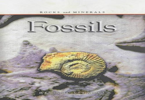 Rocks & Minerals: Fossils Paperback
