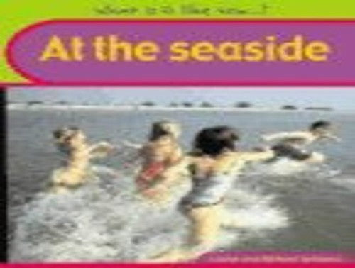 What Is It Like Now? At The Seaside Paperback