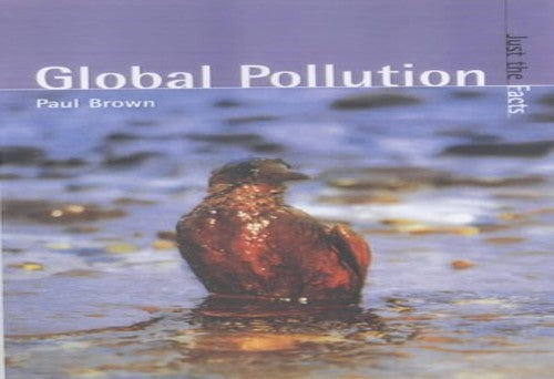Just the Facts: Global Pollution Paperback