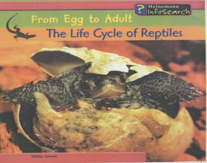 From Egg to Adult: The Life Cycle of Reptiles 