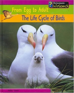 From Egg to Adult: The Life Cycle of Birds 