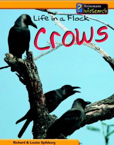 Animal Groups: Life in a Flock of Crows