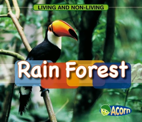 In a Rain Forest