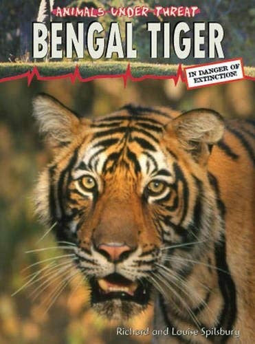 Bengal Tiger