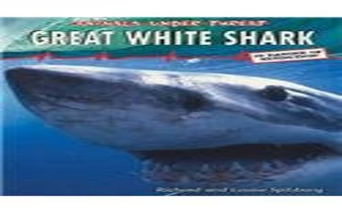 Great White Shark