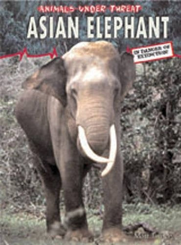 Asian Elephant