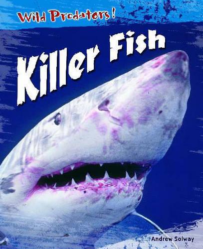 Wild Predators! Killer Fish