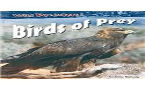 Birds Of Prey