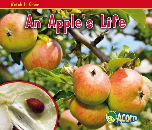 An Apple's Life