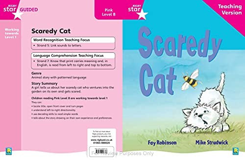 Rigby Star Guided Reading Pink Level: Scaredy Cat Teaching Version