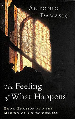 The Feeling of What Happens