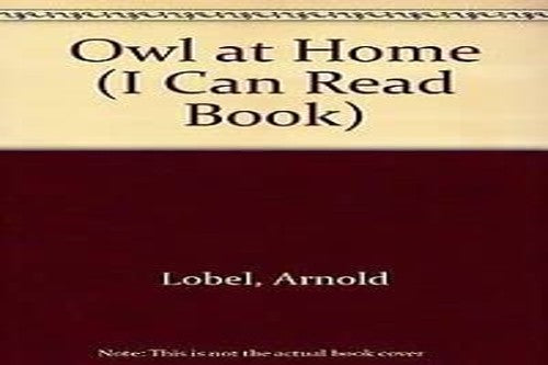 Owl at Home