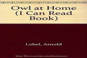 Owl at Home