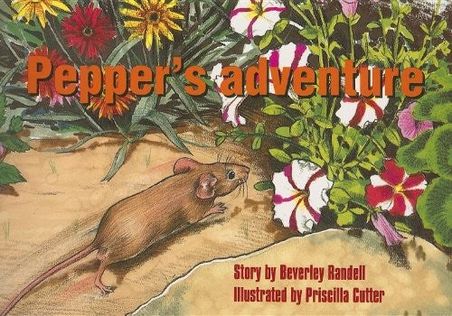 Pepper's Adventure