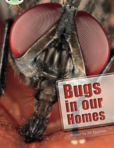 Bug Club Independent Non Fiction Year Two Lime A Bugs in our Homes