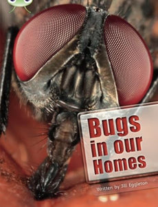 Bug Club Independent Non Fiction Year Two Lime A Bugs in our Homes 