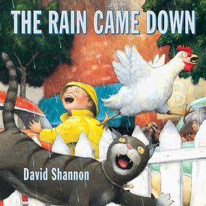 The Rain Came down