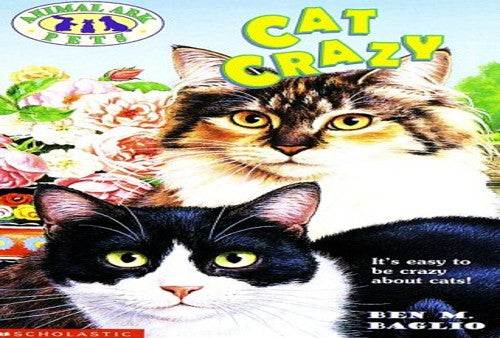 Cat Crazy
