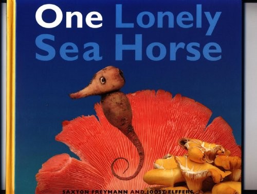 One Lonely Seahorse