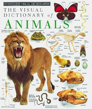 The Visual dictionary of ANIMALS