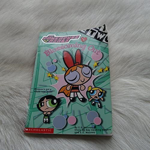 Chapter Book