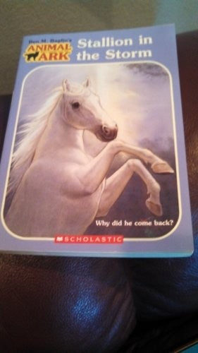 Stallion in the Storm
