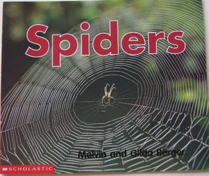 Spiders