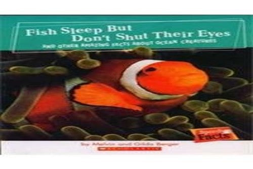 Fish Sleep But Don't Shut Their Eyes
