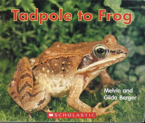 Tadpole to Frog