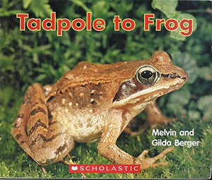 Tadpole to Frog