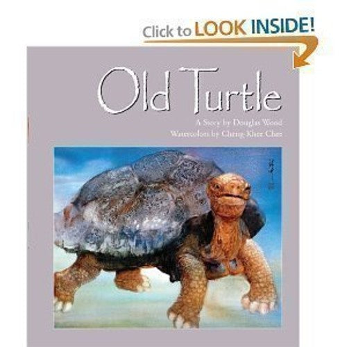 Old Turtle
