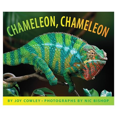 Chameleon, Chameleon