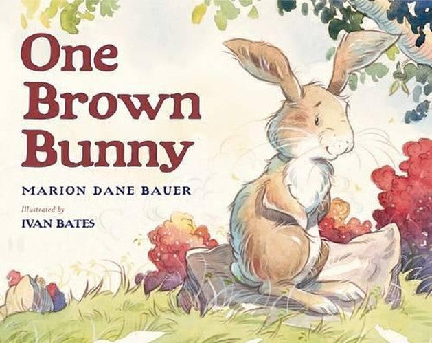 One Brown Bunny