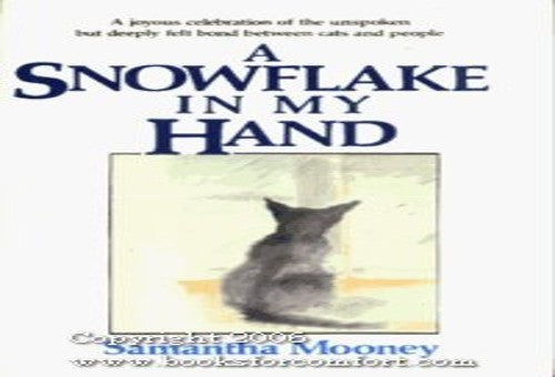 A snowflake in my hand