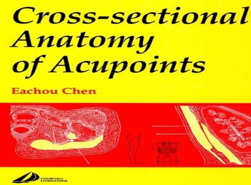 Cross-sectional Anatomy of Acupoints