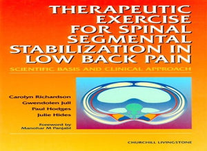 Therapeutic Exercise for Spinal Segmental Stabilisation in Low Back Pain 