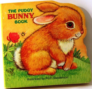 The Pudgy Bunny Book