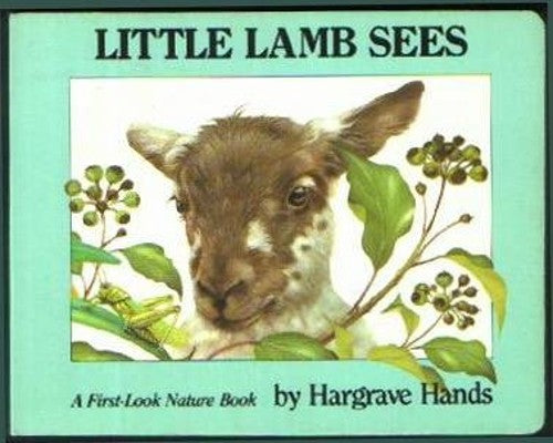 Little Lamb Sees Pa