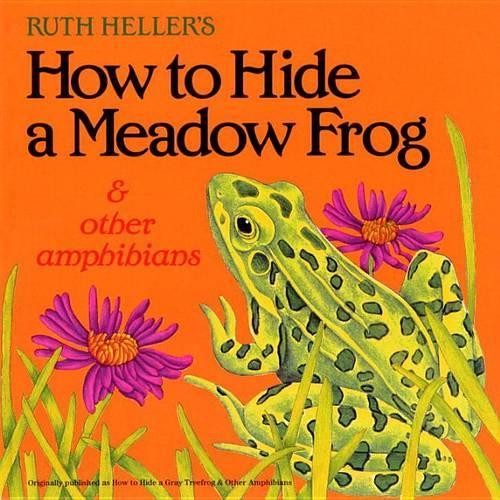 How to Hide a Meadow Frog and