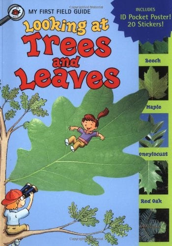Looking at Trees & Leaves