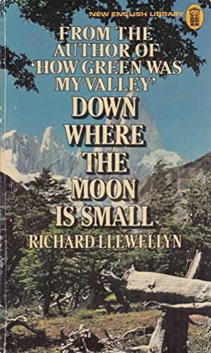 Down Where the Moon is Small