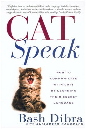 Cat Speak: How to Communicate