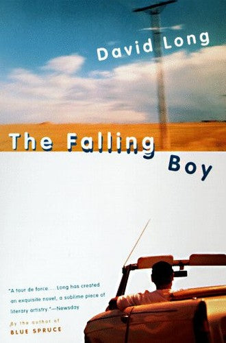 The Falling Boy
