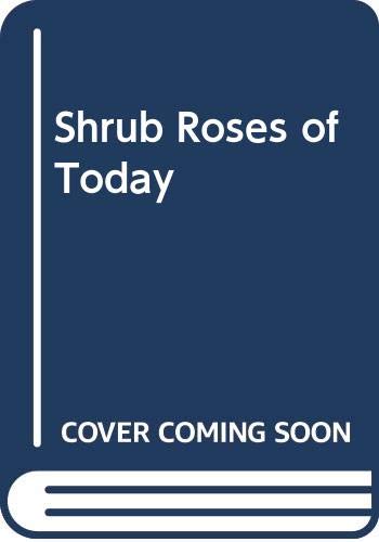 Shrub Roses of Today