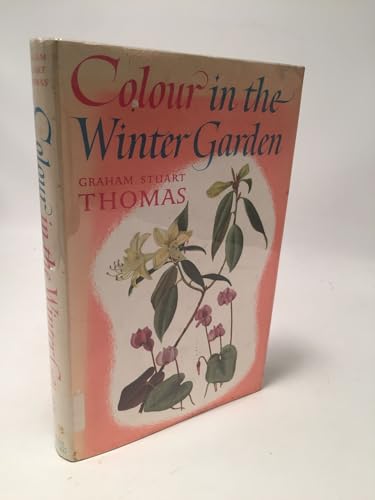 Colour in the Winter Garden