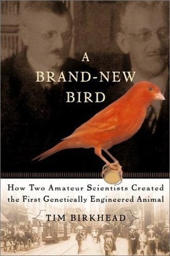 A Brand New Bird
