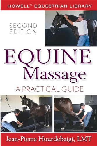 Equine Massage