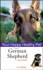 German Shepherd Dog 