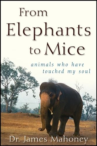 From Elephants To Mice