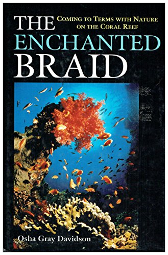 The Enchanted Braid